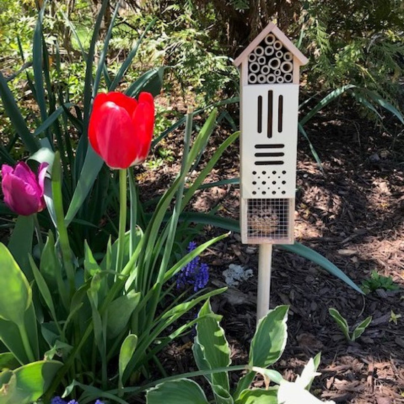 Gracie Oaks Estas 24 in x 5 in x 6 in Butterfly House & Reviews Wayfair